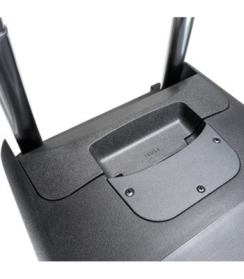 LD Systems Battery-Powered Bluetooth Speaker with Mixer and 2 Wireless Microphones