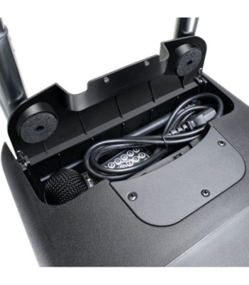 LD Systems Battery Powered Bluetooth Speaker with Mixer and Wireless Microphone