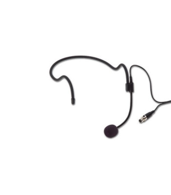 LD Systems Portable PA Loudspeaker with Headset