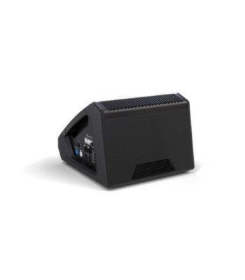 LD Systems 12" powered coaxial stage monitor