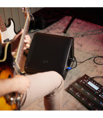 LD Systems 12" powered coaxial stage monitor