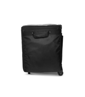 LD Systems Transport set with trolley for DAVE 10 G4X