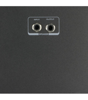 LD Systems Passive Follower Speaker