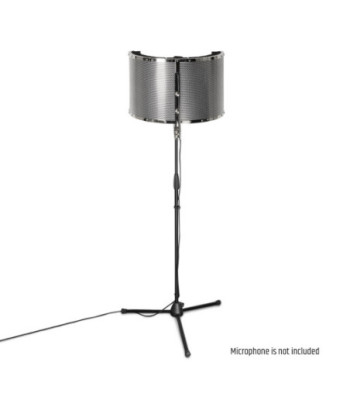 Microphone Filter