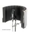 Microphone Filter