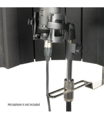 Microphone Filter