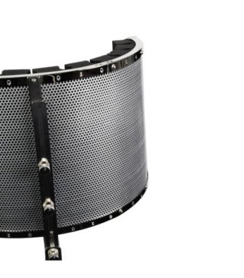 Microphone Filter