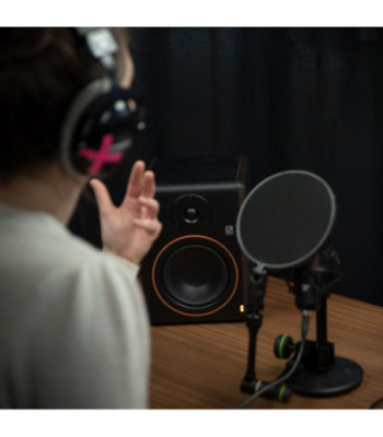 Gravity Pop Filter with VARI®-ARM
