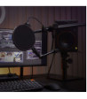 Gravity Pop Filter with VARI®-ARM