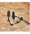 Gravity Traveler 3D Arm with Pop Filter