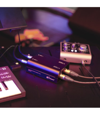 Palmer Passive 2-channel Line Isolation box