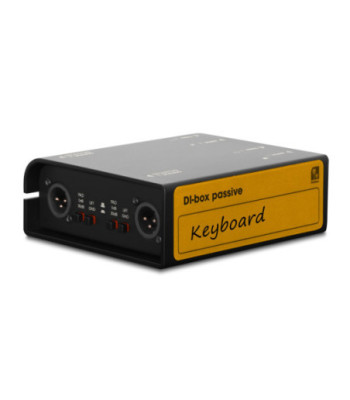 Palmer Passive 2-channel DI box