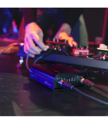 Palmer Passive 2-channel DI box