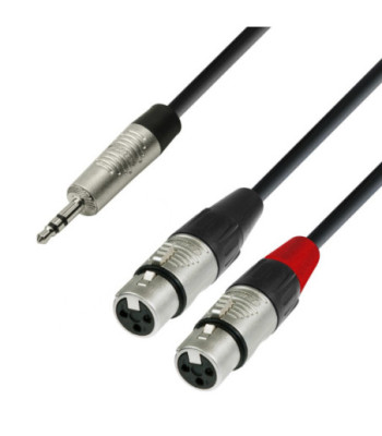 Y-Cable | Rean® 2 XLR Female x Minijack TRS | 3 m