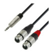 Y-Cable | Rean® 2 XLR Female x Minijack TRS | 3 m