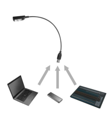 USB Gooseneck Lamp with 2 LEDs