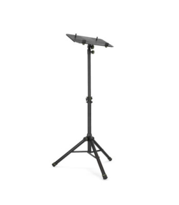 Gravity Laptop Stand with Adjustable Holding Pins