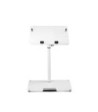 Gravity Universal Laptop Stand with Adjustable Holding Pins and Steel Base