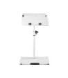 Gravity Universal Laptop Stand with Adjustable Holding Pins and Steel Base