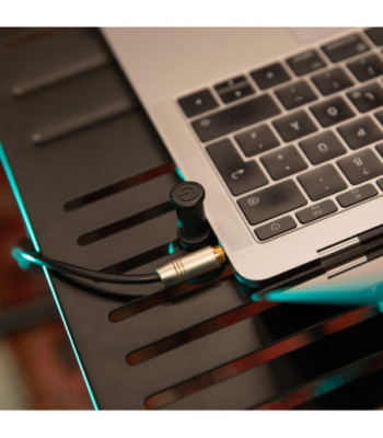 Gravity Laptop Tray with Adjustable Holding Pins