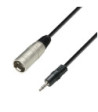 Balanced Cable | Adam Hall® XLR Male x Minijack | 1 m
