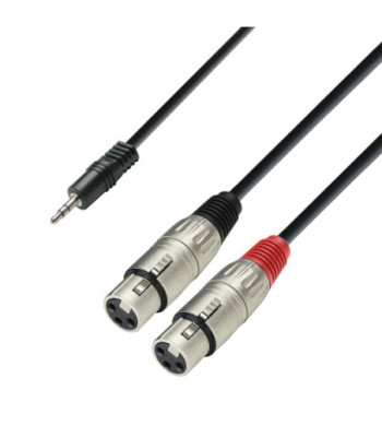 Y-Cable | Adam Hall® 2 XLR Female x Minijack | 3 m