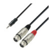 Y-Cable | Adam Hall® 2 XLR Female x Minijack | 3 m