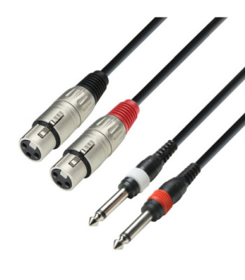 Twin Cable | Adam Hall® 2 XLR Female x 2 Jack TS | 6 m