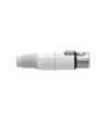 XLR plug 3-pole female