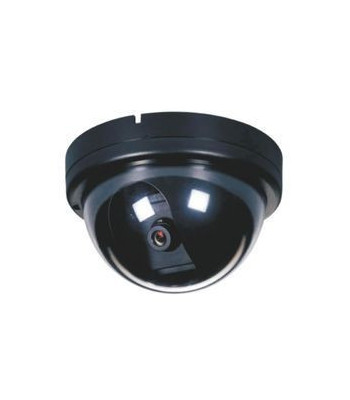 CCD video camera
