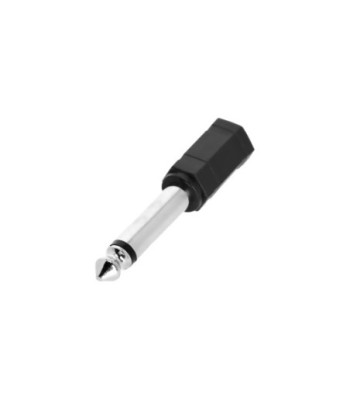 Adapter Minijack female TS to Jack TS