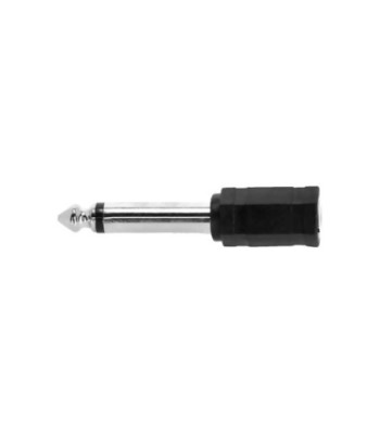 Adapter Minijack female TS to Jack TS