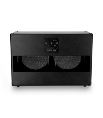 Palmer Empty Guitar Speaker Cabinet 2 x 12