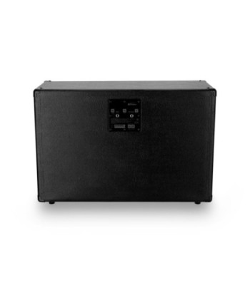 Palmer Guitar speaker cabinet with Celestion Greenback 2 x 12
