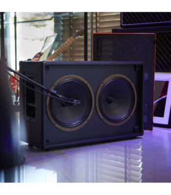 Palmer Guitar speaker cabinet with Celestion Creamback 2 x 12