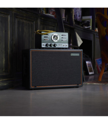 Palmer Guitar speaker cabinet with Celestion Greenback 2 x 12