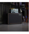 Palmer Guitar speaker cabinet with Celestion Greenback 2 x 12
