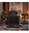 Palmer Analog Dynamic Tube Amp Hub