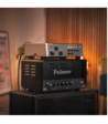 Palmer Analog Dynamic Tube Amp Hub