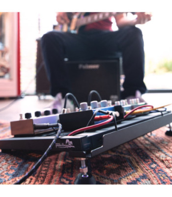 Palmer Pedalboard incl.WTPB40 Powerbar
