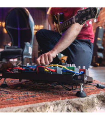 Palmer Pedalboard incl.WTPB40 Powerbar