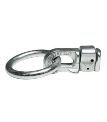 Double Stud Ring