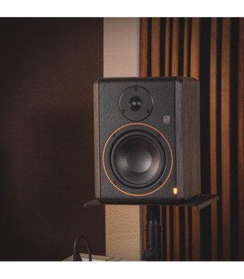 Palmer Powered 5" Nearfield Studio Monitor