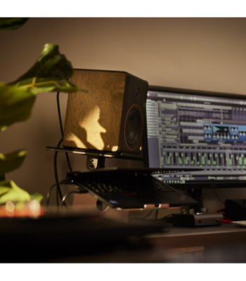 Palmer Powered 5" Nearfield Studio Monitor