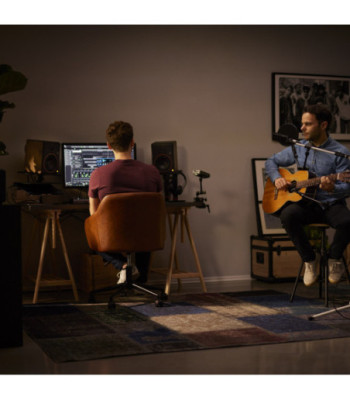 Palmer Powered 5" Nearfield Studio Monitor