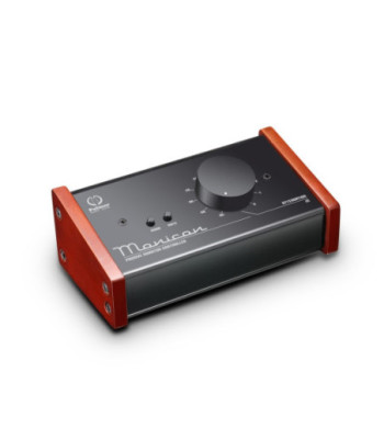 Palmer Passive Monitor Controller
