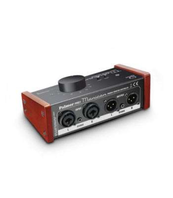 Palmer Passive Monitor Controller
