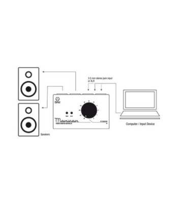 Palmer Passive Monitor Controller