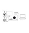 Palmer Passive Monitor Controller