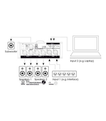 Palmer Passive Monitor Controller